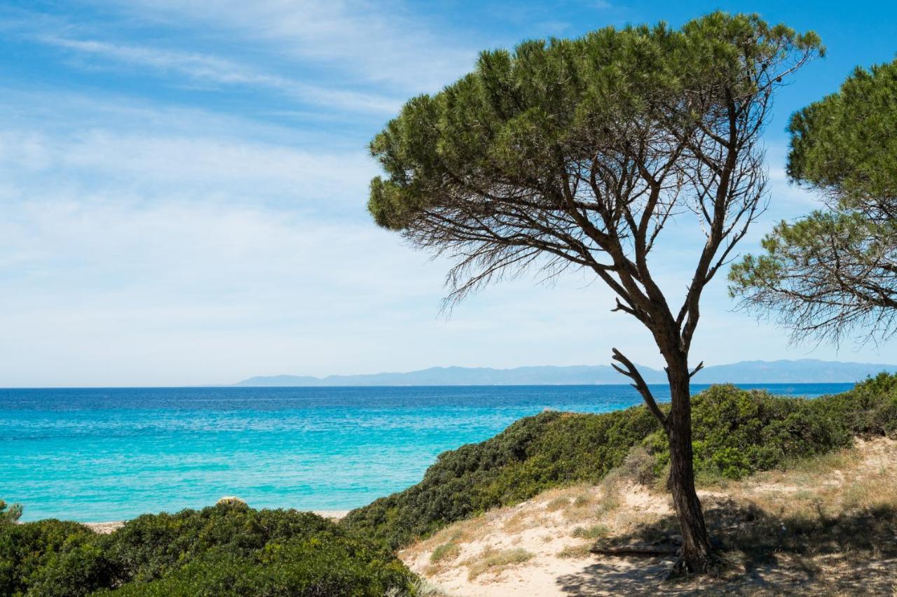 Appartamento Con Vista Mare A Terramala Terra Mala Екстер'єр фото
